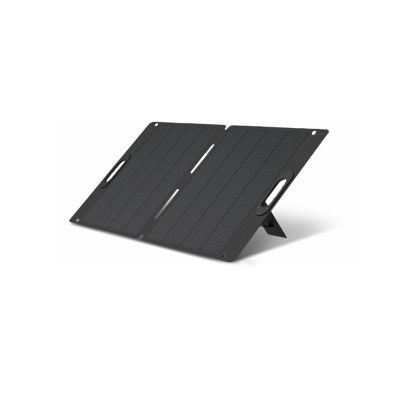 PV100  100W